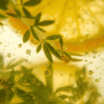 rituel légèreté thé