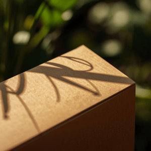 coffrets et packs de thé